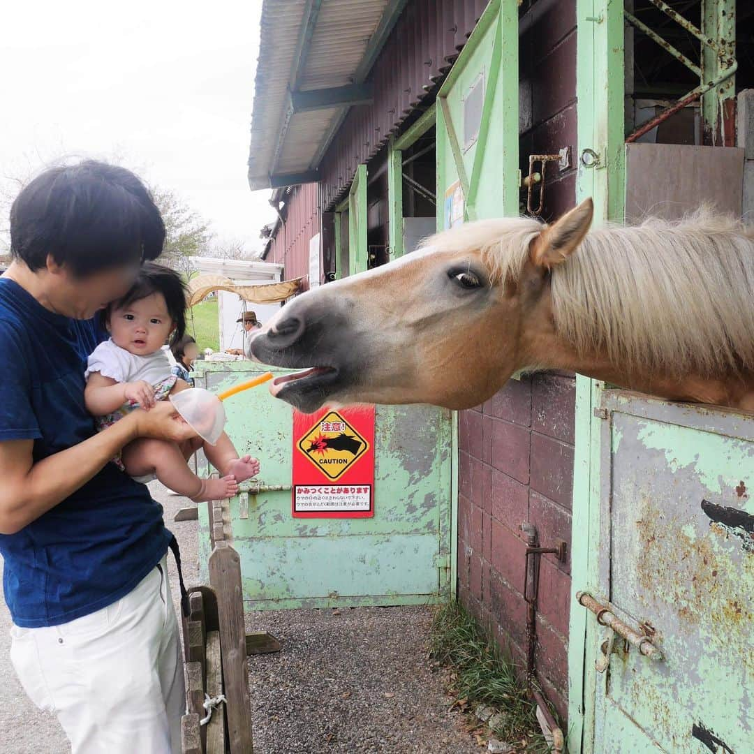 岡田薫のインスタグラム：「はじめてのお馬さん🐴 wao！！！ #子育て#二人育児#女の子ママ#娘と一緒#0歳#0歳6ヶ月#3歳と0歳#姉妹#姉妹ママ#ママリ#ママライフ#ワーママ#赤ちゃん#赤ちゃんのいる生活#こどもとおでかけ#パパと娘#キッズコーデ#momlife﻿#welcomebaby#babygirl#happymom#lovemyfamily#岡田薫#マザー牧場」