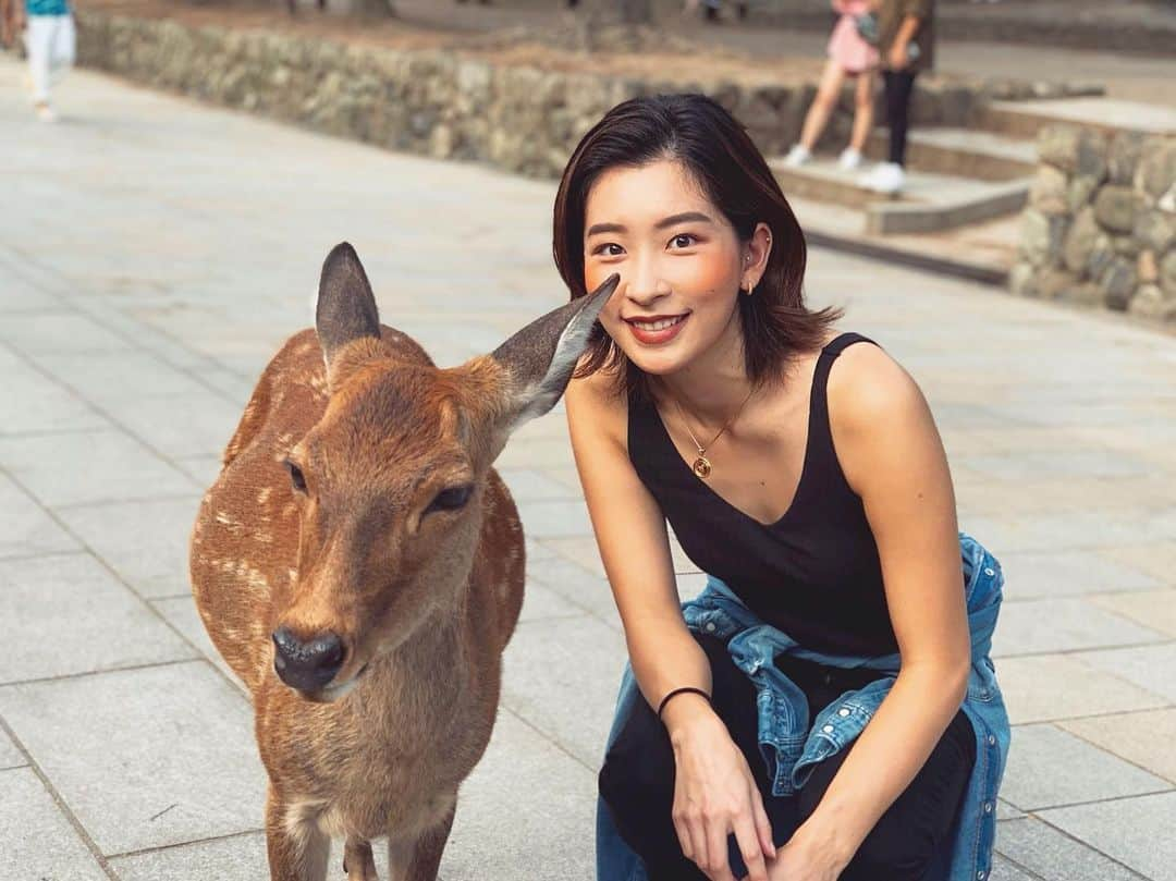 藤田美里のインスタグラム：「鹿さん🦌🦌🦌」