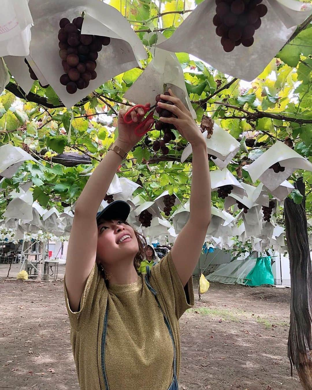 亜聖樹さんのインスタグラム写真 - (亜聖樹Instagram)「ぶどう狩り🍇 人生初♩ 楽しかった〜〜 やっと秋を感じ始めました🙏  #ぶどう狩り #山梨 #甲府 #昇仙峡 #武田信玄」9月29日 19時10分 - akkyontanaka