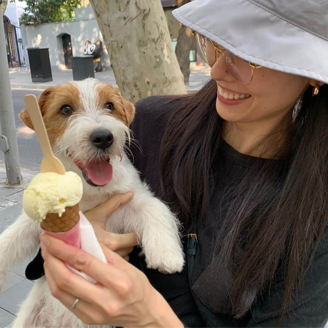 フェイフェイ・サンのインスタグラム：「🍦」