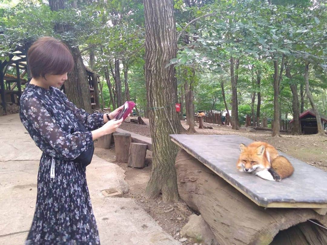 紗倉まなさんのインスタグラム写真 - (紗倉まなInstagram)「高専時代からの親友と仙台旅行へ。どの狐も美人で癒された。。。🦊 #蔵王きつね村」9月29日 20時49分 - sakuramanateee