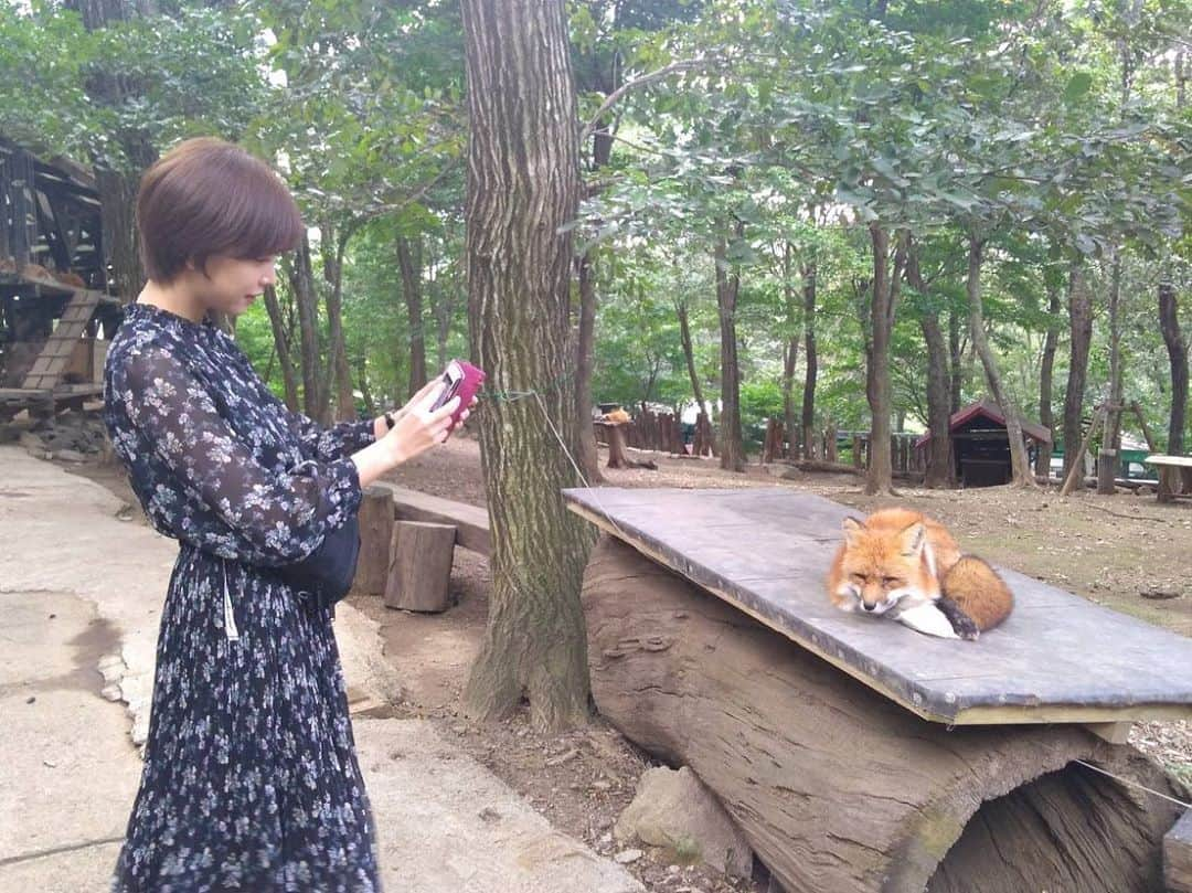 紗倉まなさんのインスタグラム写真 - (紗倉まなInstagram)「高専時代からの親友と仙台旅行へ。どの狐も美人で癒された。。。🦊 #蔵王きつね村」9月29日 20時49分 - sakuramanateee