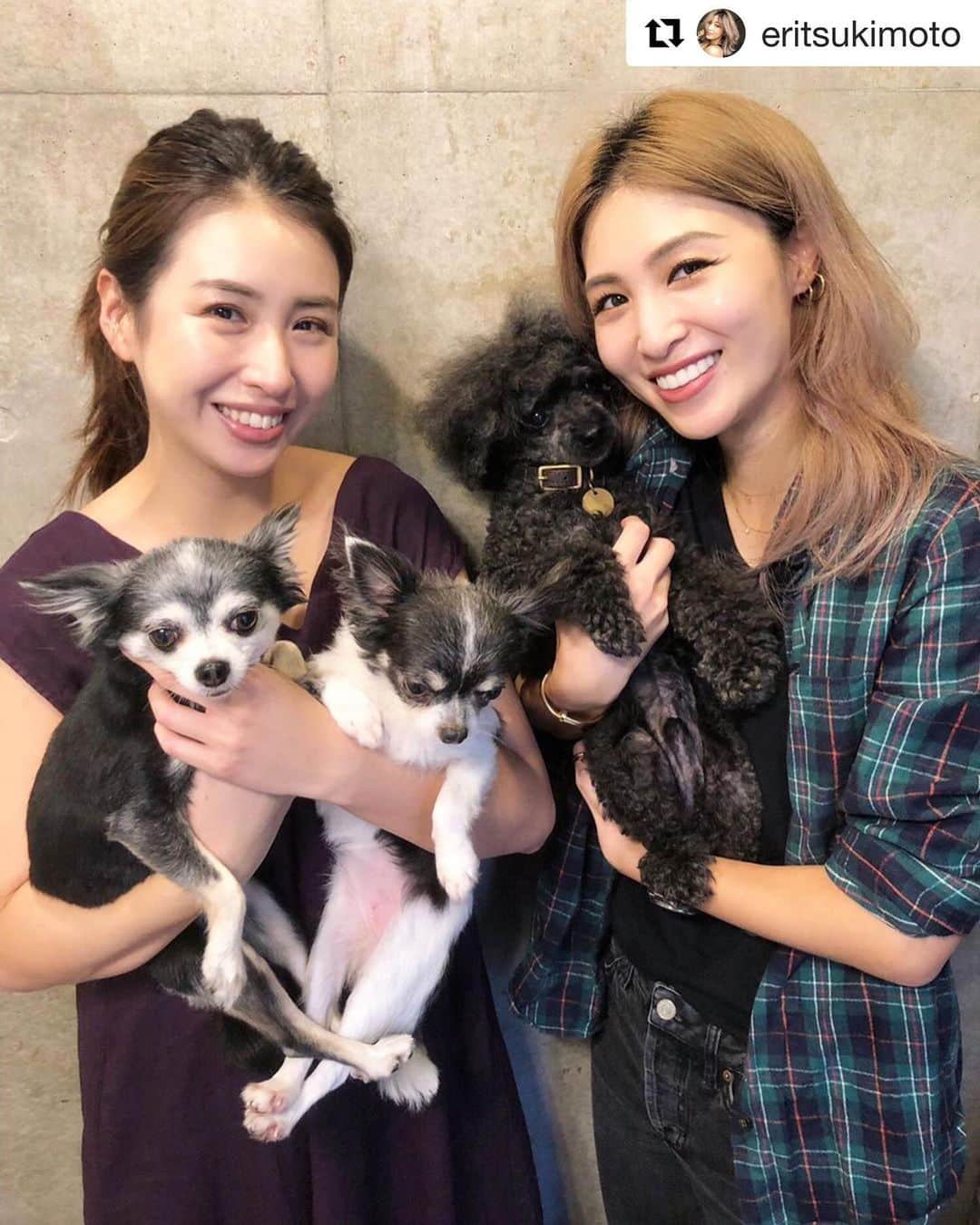 小澤名代さんのインスタグラム写真 - (小澤名代Instagram)「月本えりちゃん @eritsukimoto がSiri🐶とBlair salonにご来店💜 気になっていたHIFUを施術してくださりました☺︎ しかもしかも、数日後はインスタライブでハイフをご紹介していただき、優しいし美人だし面白いし愛犬家だし✨ いなり寿司食べながらでも、こんなかっこよく様になるのは、さすがだなぁと感心してました♡✨ えりちゃんに会うと、パワースポットみたいに明るく楽しい気持ちになるので、 早く会いたいです💜  #Blair #Blairsalon #skincare #siri #hifu #hifutreatment #beautycare #liftup #toypoodle #chiwawa #dogstagram #dogoftheday #愛犬家 #月本えり #かっこいい #ハイフ #リフトアップ #エイジングケア #アンチエイジング #トイプードル #チワワ #犬好き #ペット可 #ブレア #ブレクロ #ブレアサロン」9月29日 22時02分 - ozawanayo