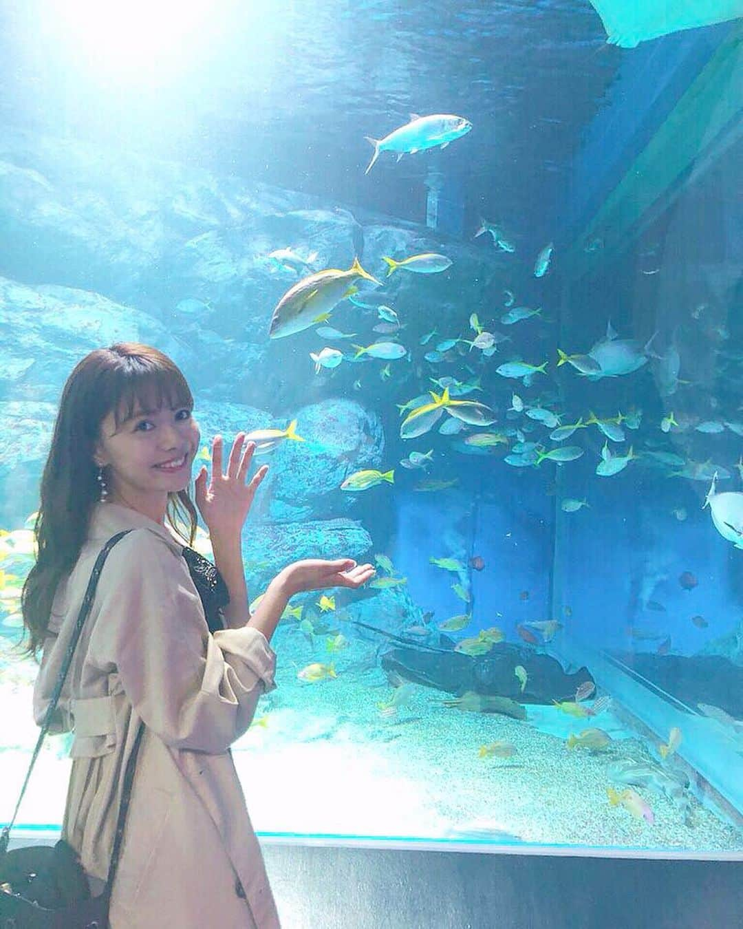 山崎春佳さんのインスタグラム写真 - (山崎春佳Instagram)「🐠🐡 . 昨日は品川の水族館に行きました。 綺麗な世界に心洗われました❁ . この日は @titivatejp の #バックプリーツライトトレンチコート を着ていたよ！ 前からも後ろからもかわいいスタイル…！ 一応わかりやすい画像も最後に載せておきました！ どんな色のお洋服にも合うライトベージュがわたしの推しです◡̈⃝⋆* . #me #tbt #fashion #coat #titivate #titivatestyle #trenchcoat #aquarium #fish #水族館 #品川水族館 #エイ #魚 #トレンチコート #ティティベイト #マクセルアクアパーク品川 #暗い写真明るくしてるから画質荒いねごめんね」9月29日 22時13分 - haruka_yamazaki