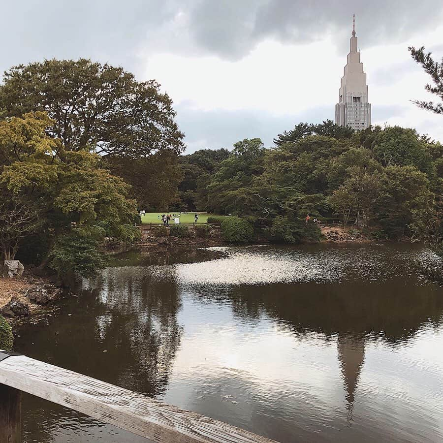 酒匂彩名さんのインスタグラム写真 - (酒匂彩名Instagram)「: 新宿御苑まで行ってきたよ🌿 息子も大変ご機嫌でした！ やっぱり緑は良いよねー☺️ : #新宿御苑 #お散歩 #ピクニック #赤ちゃんのいる生活 #芝生が気持ち良いね #0歳児  #曼珠沙華 #見頃でした #秋晴れ  #お外で飲むミルクは格別でしゅ #かなり歩いて疲れた  #今晩長く寝て下さい  #紅葉の時期も行きたいなぁ  #いや週1で行きたいぐらいだ」9月29日 22時15分 - ayanasakoh