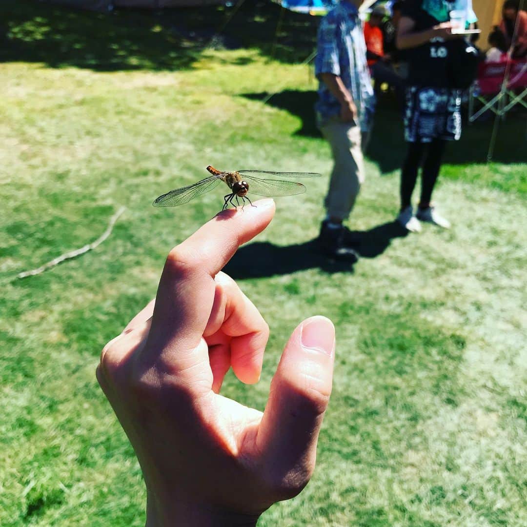 PxOxNのグルメインスタ