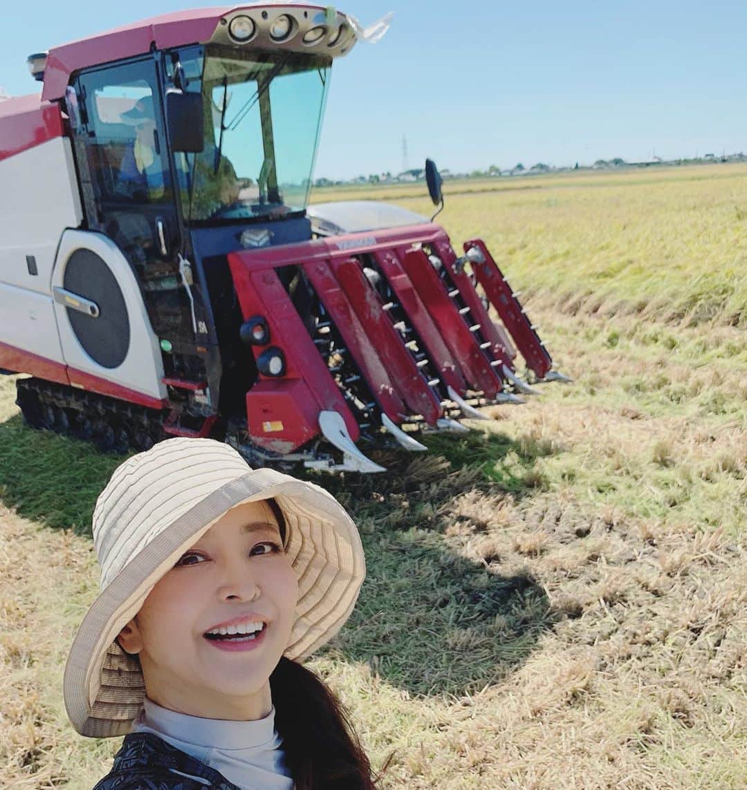 大桃美代子さんのインスタグラム写真 - (大桃美代子Instagram)「新潟の田んぼの稲刈り。  コンバインにのりました。  桃米の稲刈りももうすぐです。  10月5日ですよ。  ご参加の皆様、お待ちしていますね。  木津みずほ生産組合さんに、ご連絡いただけると、  参加できますよ。  稲刈りの様子は9/15日のブログで。  プロフィールから飛んでくださいね。  https://ameblo.jp/momo-tane/entry-12525257040.html  震災復興から始めた桃米つくり。  被災地と共に、、、 #新潟#ハーベスト#稲刈り#コンバイン#農業#収穫#桃米#大桃美代子#災害#震災#復興#田んぼの学校#ヤンマー#震災復興#復興#被災地」9月15日 6時20分 - miyoko_omomo