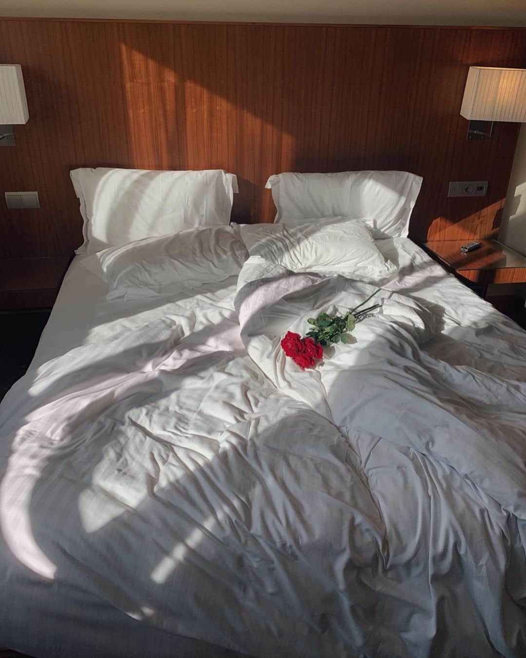 瀬畑茉有子さんのインスタグラム写真 - (瀬畑茉有子Instagram)「good morning 🥀 . . . #flowers #roses #goodmorning #sundaymood #bedroom #homesweethome #interior #architecture #love #family」9月15日 9時06分 - sehatamayuko