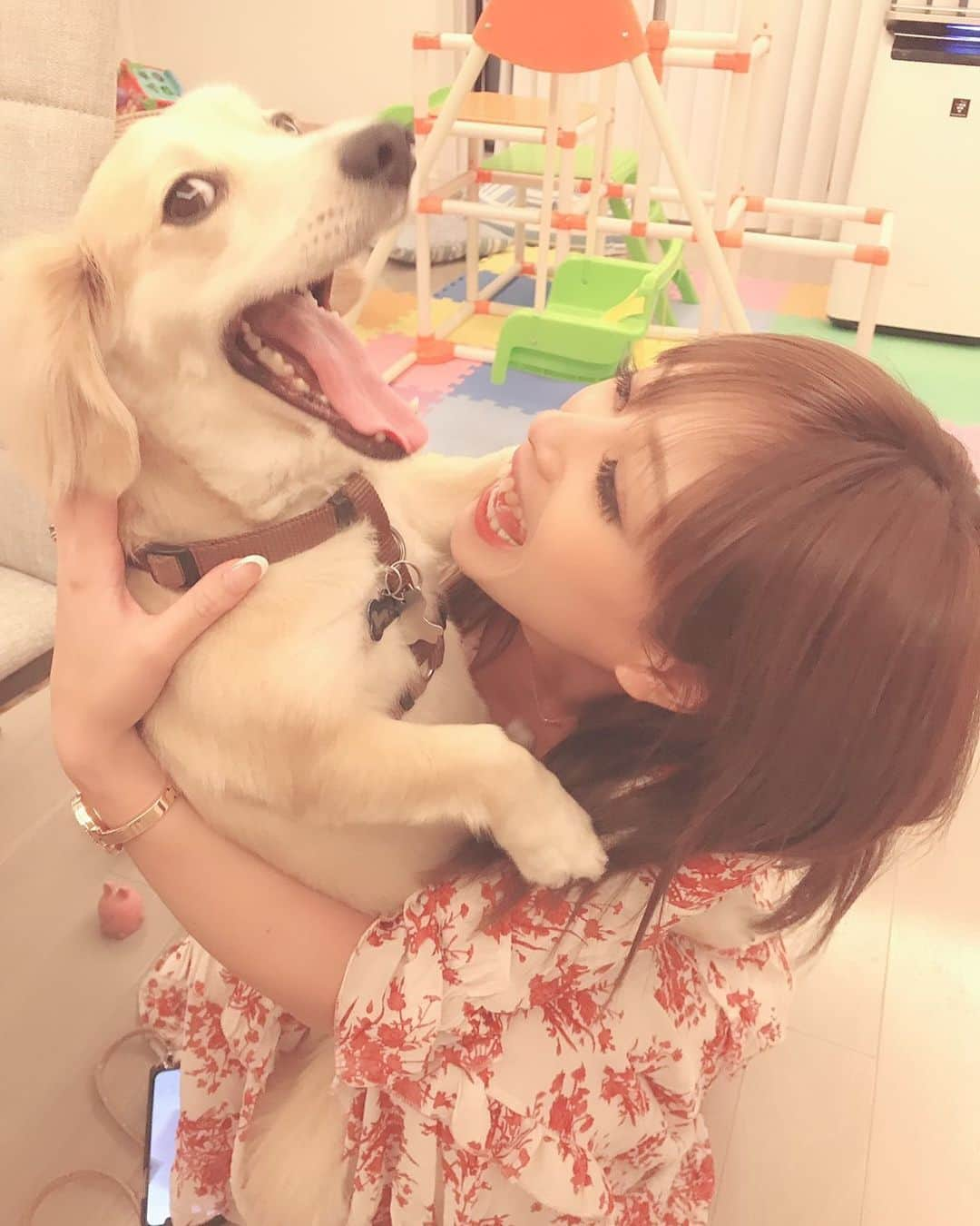 野田彩加さんのインスタグラム写真 - (野田彩加Instagram)「にょろ🐶可愛すぎるて🥺♥️♥️♥️ #にょろ #可愛い #dog #喜んでる #はず」9月15日 9時12分 - aya.205