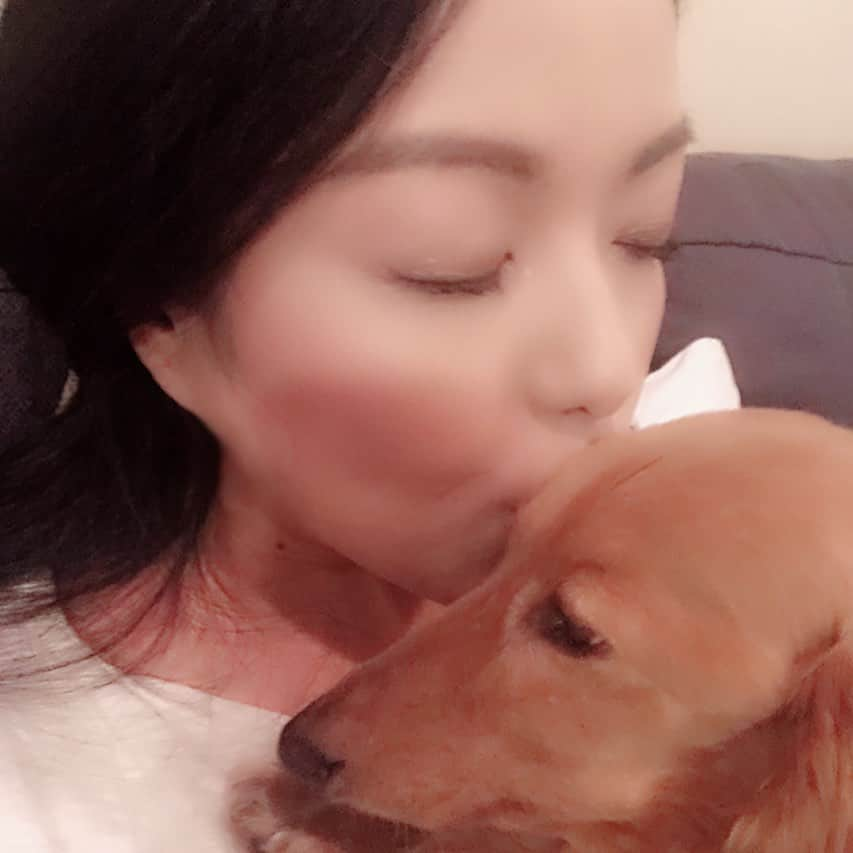 伊藤由奈さんのインスタグラム写真 - (伊藤由奈Instagram)「Back in LA, apparently Dolce missed me but then was like, “ok Mom, that’s enough cuddles!!😳” ちなみにロスに帰って来てドルチェは大喜び🥰💕でも、ちょっとしたら"ママ、もういーよ！"って怒られたっ！🥺（笑）have a great weekend everyone! #dolce #weinerdog #dogsofinstagram #cuddles #overit #silly #furbaby #myheart #cute」9月15日 9時50分 - _yunaito