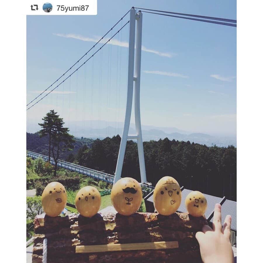 三島スカイウォーク／公式さんのインスタグラム写真 - (三島スカイウォーク／公式Instagram)「お客様が撮影したKicoroの写真をご紹介します🥳🎶 . ①②は展望台に設置しているKicoroのオブジェで撮ってくださいました👏📷 . 後ろに吊橋がうつっているのがポイントです☺️🌈 . ③④は散策路の写真です🎶 . 角度によってお洒落な写真が撮影できたり、可愛らしい写真ができたり、、、変わりますよね😉‼️ . 皆さんのここだ！と思う角度から撮影してみてください🎶 .  可愛いらしい写真を撮影してくださりありがとうございます😉✨✨ . 思い出の1枚を撮りに三島スカイウォークへ遊びに来てくださいね🥺❤️ . #三島スカイウォーク #スカイウォーク #静岡 #箱根 #伊豆 #三島 #観光 #吊橋 #吊り橋 #日本一 #富士山  #空をあるこう森であそぼう #キコロ #Kicoro #展望台  #散策路 #森 #木 #mishimaskywalk #skywalk #japan #MountFuji #shizuoka #travel #trip #fun #instagood #nature #beautiful #followme」9月15日 10時08分 - mishima_skywalk