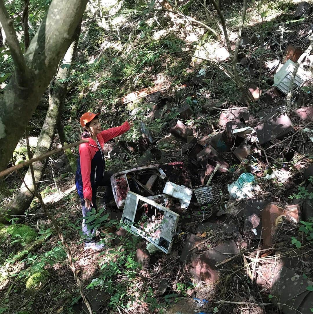 若村麻由美さんのインスタグラム写真 - (若村麻由美Instagram)「❣️現場検証中❣️ 天晴れ富士山の青木ヶ原樹海末端、本日の清掃現場を検証中。パッと見には緑の森ですが、約20tm下に凡そ40年前の不法投棄のゴミの山が！地中にも！ 参加者の皆様のご期待にそえる凄まじい光景です。。。 注意❣️足場悪し😱蔦漆(ツタウルシ)が這っているので肌を出さないでください。かぶれます😱虫除けもした方が良いかも😱 富士山清掃隊長より . 詳細：ピーク・エイドhttps://peak-aid.or.jp/news/2019/08/915teamfujisan3776.html 富士山ゴミ状況：富士山クラブhttps://www.fujisan.or.jp/Action/think/results.html . #若村麻由美 #mayumiwakamura #japan #mtfuji #富士山 #清掃隊長 #富士樹海 #本栖湖周辺 #ヒマラヤ #マナスル #隊長 #野口健 #同時清掃 #富士山好き #富士山清掃 #ゴミ拾い #奉仕活動 #現場検証 #凄まじい #不法投棄」9月15日 10時12分 - mayumiwakamura_official