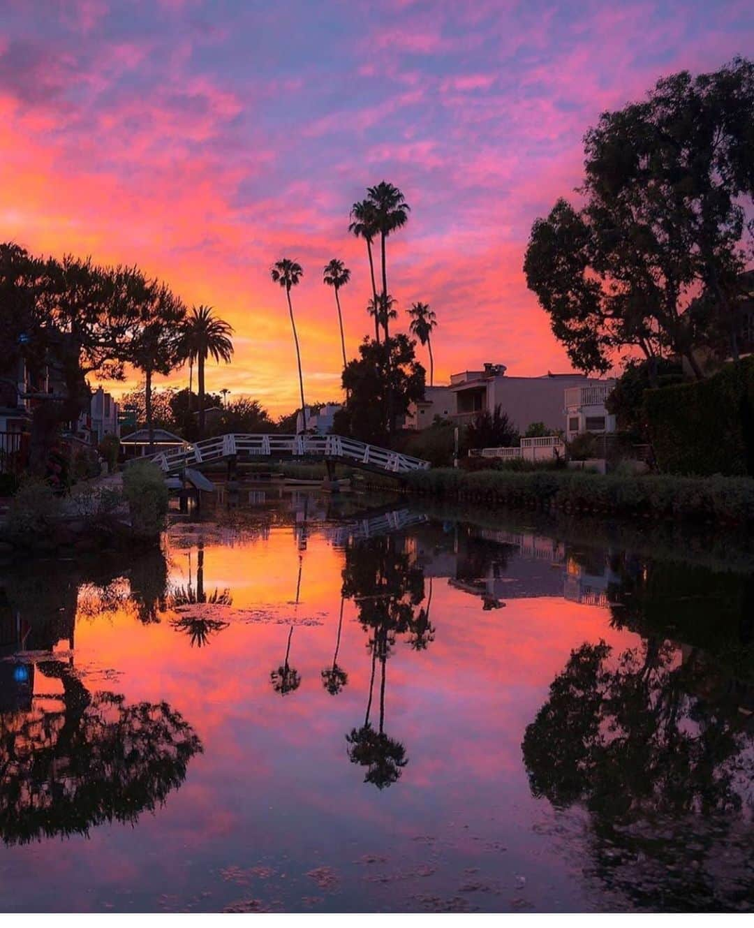 scottlippsさんのインスタグラム写真 - (scottlippsInstagram)「Venice beach sunsets rule... hello again #california #westside 📷 @pgsilver #venice #sunset」9月15日 10時59分 - scottlipps