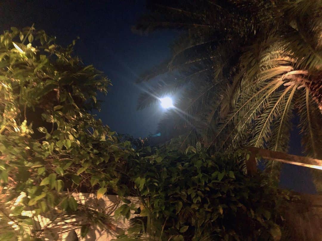 のインスタグラム：「Night with a full moon. 満月の夜に。 天国に逝った大好きな あの人のことを祈ります。 私に出来ることを精一杯頑張って、彼女の遺志を継いで行くと誓う。 I am really going to miss her.  RIP.」