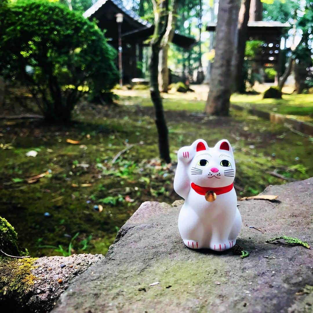 緒月遠麻さんのインスタグラム写真 - (緒月遠麻Instagram)「☺︎ #豪徳寺 の招き猫は きれないお顔ですね。  我が家に いらっしゃいませ🏠🐈 猫小、猫大、猫中、空海。  #神がかった並び」9月15日 11時57分 - toma_ozuki