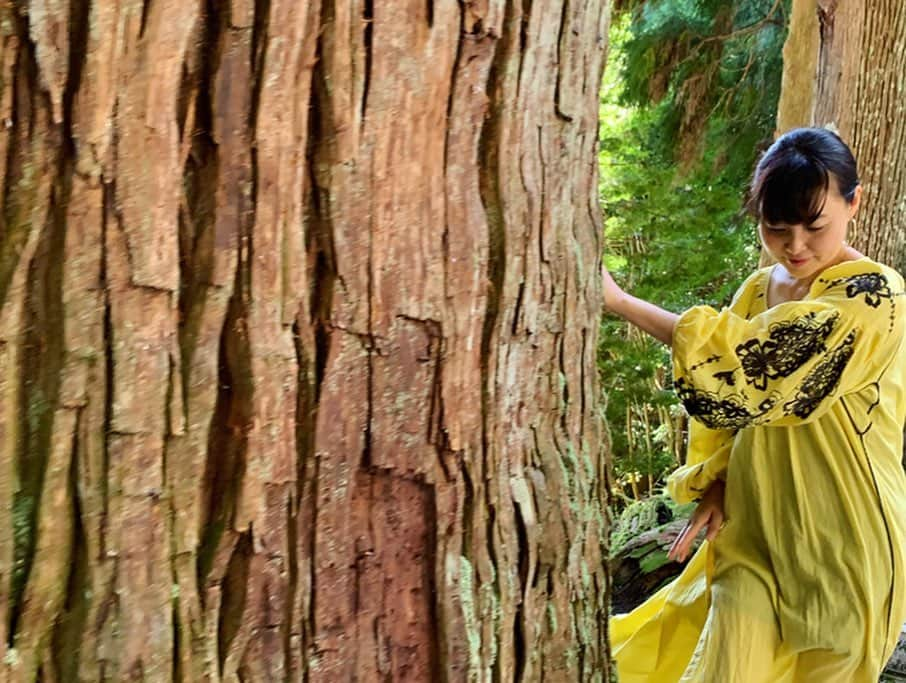 早坂香須子さんのインスタグラム写真 - (早坂香須子Instagram)「昨日の職場 滋賀県奥永源寺  琵琶湖の源流でもあるこの場所に、愛する青山有紀ちゃんが京都から手伝いに駆けつけてくれた！  ありがとう♡  君ヶ畑の木地師を守る会のかっこいいおじ様達と作業を共にして、この場所の素晴らしさをたくさん教えてもらった。長く続くプロジェクトになるので、こうやって受け入れてくれるのは本当にありがたいです。  最後は満月の下、大宴会✨  #nerolilabotanica  #ネロリラボタニカ #organic#organiccosmetics #powerorganic」9月15日 12時17分 - kazukovalentine