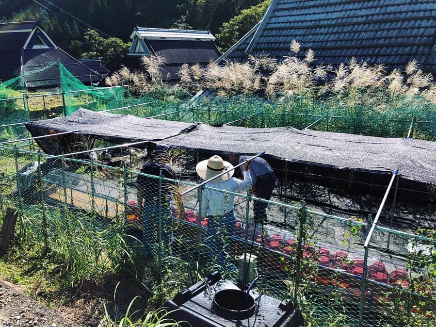 早坂香須子さんのインスタグラム写真 - (早坂香須子Instagram)「昨日の職場 滋賀県奥永源寺  琵琶湖の源流でもあるこの場所に、愛する青山有紀ちゃんが京都から手伝いに駆けつけてくれた！  ありがとう♡  君ヶ畑の木地師を守る会のかっこいいおじ様達と作業を共にして、この場所の素晴らしさをたくさん教えてもらった。長く続くプロジェクトになるので、こうやって受け入れてくれるのは本当にありがたいです。  最後は満月の下、大宴会✨  #nerolilabotanica  #ネロリラボタニカ #organic#organiccosmetics #powerorganic」9月15日 12時17分 - kazukovalentine