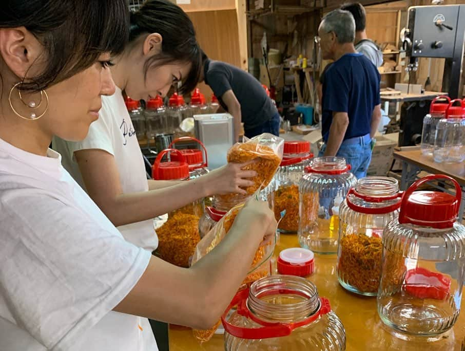 早坂香須子さんのインスタグラム写真 - (早坂香須子Instagram)「昨日の職場 滋賀県奥永源寺  琵琶湖の源流でもあるこの場所に、愛する青山有紀ちゃんが京都から手伝いに駆けつけてくれた！  ありがとう♡  君ヶ畑の木地師を守る会のかっこいいおじ様達と作業を共にして、この場所の素晴らしさをたくさん教えてもらった。長く続くプロジェクトになるので、こうやって受け入れてくれるのは本当にありがたいです。  最後は満月の下、大宴会✨  #nerolilabotanica  #ネロリラボタニカ #organic#organiccosmetics #powerorganic」9月15日 12時17分 - kazukovalentine