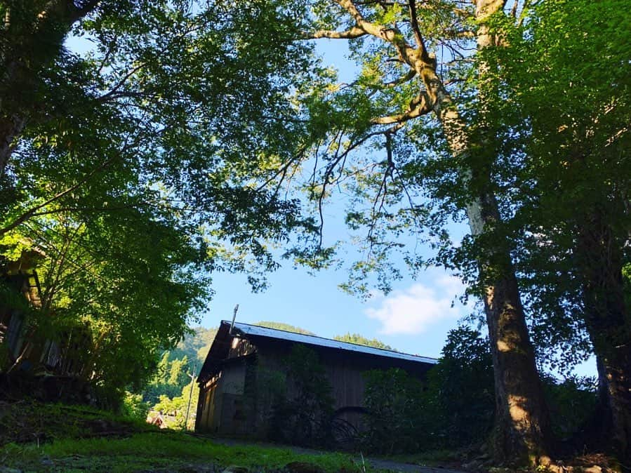 早坂香須子さんのインスタグラム写真 - (早坂香須子Instagram)「昨日の職場 滋賀県奥永源寺  琵琶湖の源流でもあるこの場所に、愛する青山有紀ちゃんが京都から手伝いに駆けつけてくれた！  ありがとう♡  君ヶ畑の木地師を守る会のかっこいいおじ様達と作業を共にして、この場所の素晴らしさをたくさん教えてもらった。長く続くプロジェクトになるので、こうやって受け入れてくれるのは本当にありがたいです。  最後は満月の下、大宴会✨  #nerolilabotanica  #ネロリラボタニカ #organic#organiccosmetics #powerorganic」9月15日 12時17分 - kazukovalentine