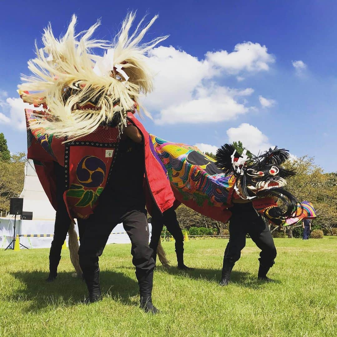 梶剛さんのインスタグラム写真 - (梶剛Instagram)「讃岐の祭りは獅子舞やぁ♪(´ε｀ )  #香川県 #瀬戸内海 #四国 #setouchi #獅子舞」9月15日 12時23分 - kajitsuyoshi