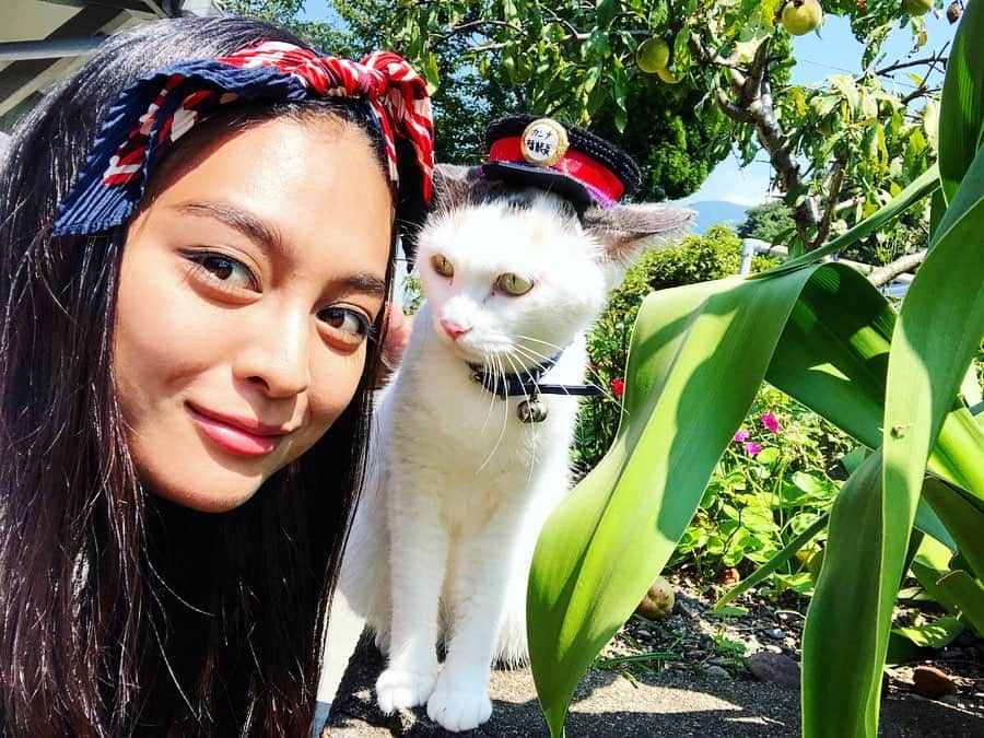 のインスタグラム：「駅猫 ♡ Station Cat 🐈 you can find her at Ehime Prefecture iyokaminada Station. 伊予上灘駅 にカンナちゃんいるよ〜🎵 #ehimeprefecture #ehime #iyokaminadastation #stationcat #cat #love #cute #猫 #愛媛県 #伊予上灘駅 @visitjapanjp」
