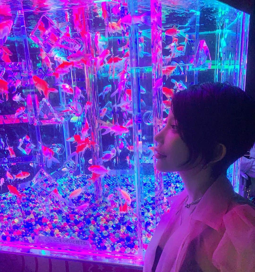 MASAMIのインスタグラム：「アートアクアリウム映えた🥰金魚近くで見ると怖かった😭お姉ちゃんが誕生日に一番顔キモかった高い金魚くれるらしい😭」