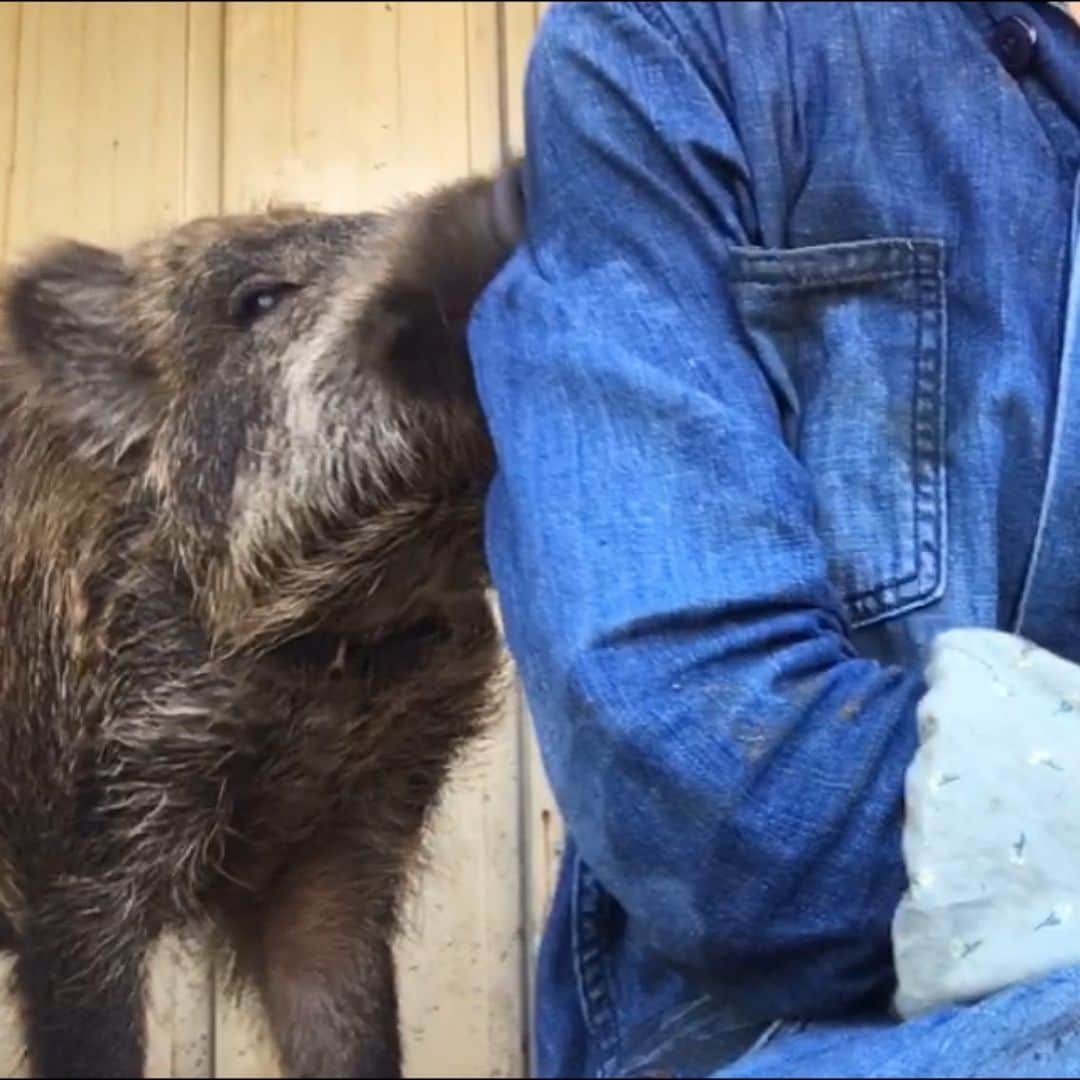 内澤旬子のインスタグラム