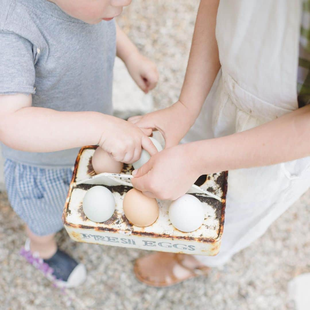 ティファニー・ティーセンさんのインスタグラム写真 - (ティファニー・ティーセンInstagram)「#sunday #mornings are made for gathering eggs for breakfast.  Thanks ladies 🐓#getoutside #familytime #smithfarm」9月15日 23時23分 - tiffanithiessen