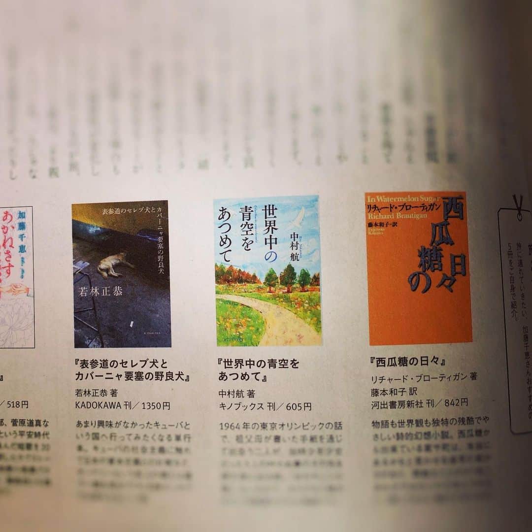加藤千恵のインスタグラム：「Twitterでも書きましたが、ことりっぷマガジン vol.22」（昭文社）で、拙著『そして旅にいる』（幻冬舎）に関してのインタビューを掲載してもらってます。 そして旅のおすすめ本ということで紹介した本たち、ニッポン放送にハマってる人とハマってない人の本が並んでることに気づきました。どっちもおもしろいです。」