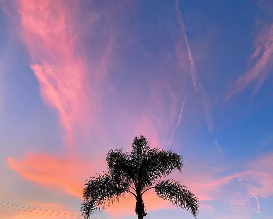 来夏さんのインスタグラム写真 - (来夏Instagram)「#🌴 lovely sky💜 #saturday #palmtrees」9月15日 16時57分 - rairairaika