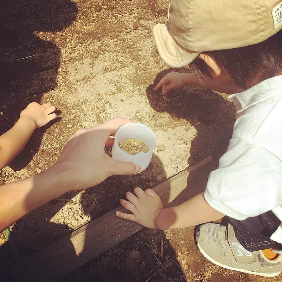 相馬絵美さんのインスタグラム写真 - (相馬絵美Instagram)「久しぶりに息子と二人きりでおデートという事で、ちょっと遠出して#埼玉県 は#小川町 の#無農薬 #無化学肥料 の農家#サンファーム高橋 さんへ#食農体験 教室に行ってきました！  種から甘くて良い香りの#無農薬カモミール を種植えしてから @kaori_aruga さんの美味しいごはん！ 茄子、ズッキーニ、ビーツやキュウリなどの#夏野菜 や栗ご飯は全部美味しかった〜。 それから収穫した卵でゆで卵や、切りたて揚げたてのポテトチップスもお腹いっぱいでも無限ループで食べていられる美味しさ。  最初は虫こわい〜、暑い〜と屋内に逃げ込んでた息子が誰よりも畑で駆け回って虫と友達になって楽しんでいたので本当に来てよかった！  ここでとれた野菜や果物を使って自然の中でお料理教室したいねと話していて、夢が膨らみます。とにかくまた来たい！  #農家 #農業 #畑 #食育」9月15日 16時54分 - somaemi