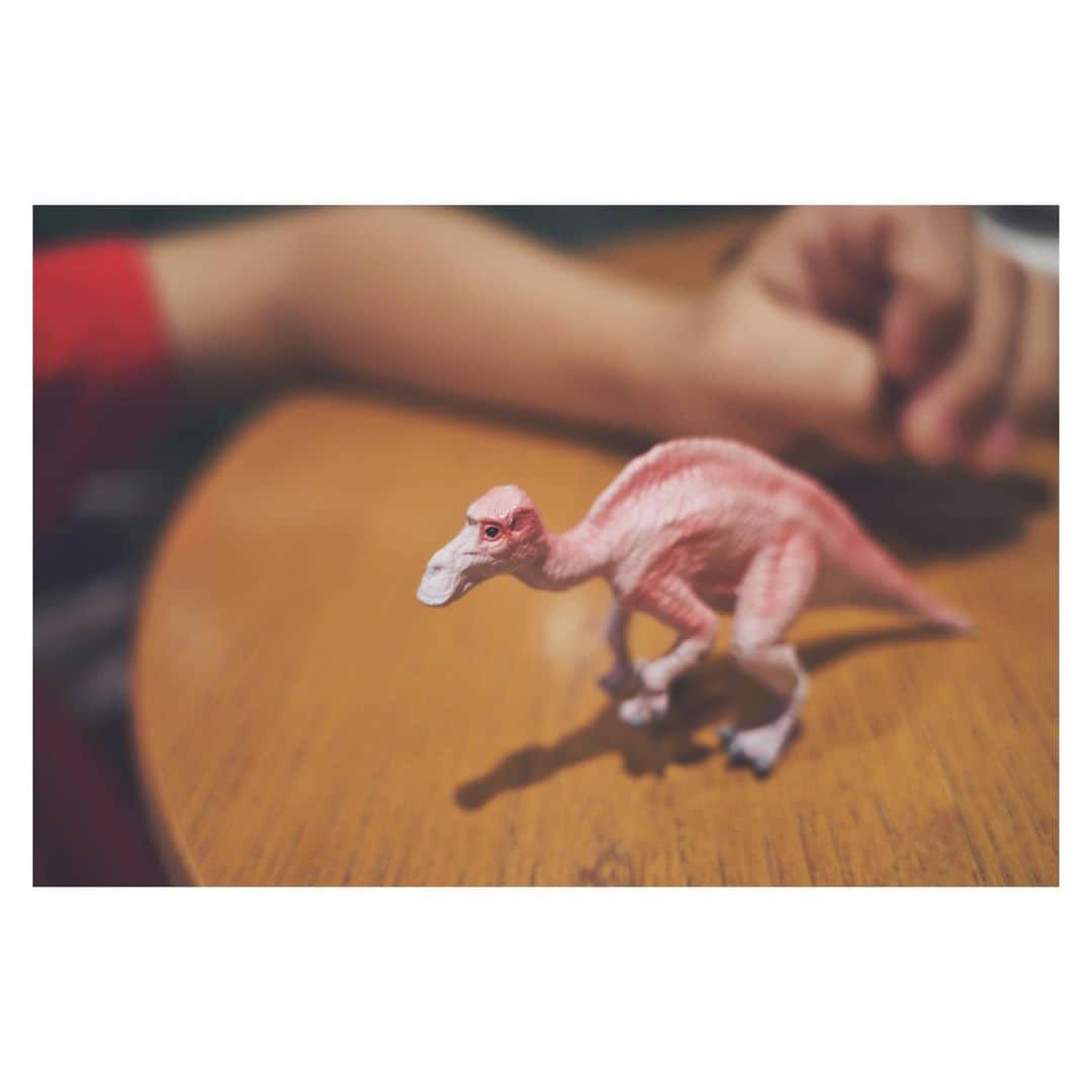 のインスタグラム：「クレーンゲームの戦利品。  500円も使ってしまった💸  相変わらずピンク好きな息子  #竹仲絵里 #クレーンゲーム #恐竜 #戦利品 #ピンク好き #ピンク恐竜 #pink #Cranegame」
