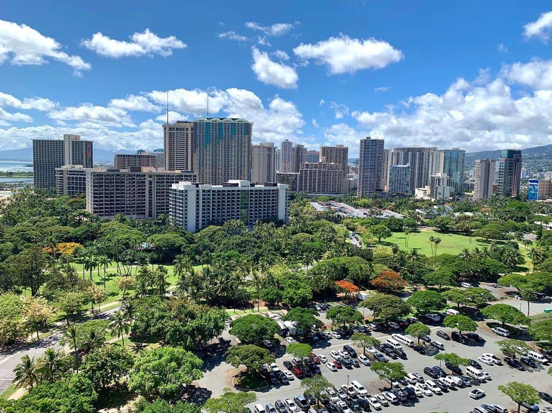 宮崎由加さんのインスタグラム写真 - (宮崎由加Instagram)「空と . . 雲とビルと緑と車 . . 日本の木は整えられてるのが多い。 ハワイの木はのびのびしてた。 . . #宮崎由加  #みやざきかめら  #夏の思い出  #hawaii」9月15日 18時17分 - yuka_miyazaki.official