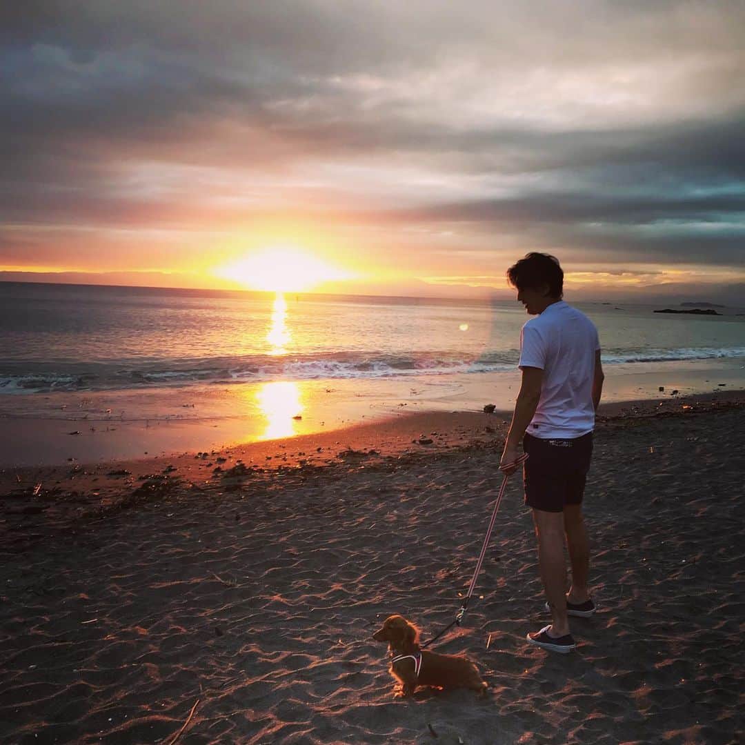 加藤章太郎さんのインスタグラム写真 - (加藤章太郎Instagram)「🐕サンセット #dog#walking#beach#beautiful#sunset#sea」9月15日 18時39分 - __shotaro__
