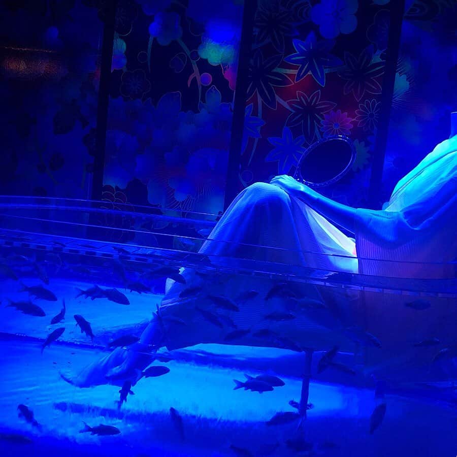YU-KAさんのインスタグラム写真 - (YU-KAInstagram)「・ 生きたアート 江戸の涼  #アートアクアリウム #アートアクアリウム2019 #金魚アートアクアリウム #金魚ミュージアム #金魚 #tempurakidz」9月15日 18時41分 - yuka19981114