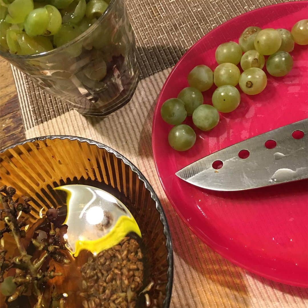 能町みね子さんのインスタグラム写真 - (能町みね子Instagram)「料理を作ったら死ぬ奇病を持つため一切料理をしない私が10億年ぶりにお菓子を作ったので、あげておかなければいけない。おいしくないブドウと腐りかけの梨をどうにかしたかったため、ブドウの種を全部丁寧に取り出し(こういう作業は好き)、梨とともにジューサーにかけて、あとはゼラチンと砂糖と牛乳と生クリームでムースを作った。予想以上に成功して梨もブドウもどっちの味もするし、地球に平和が訪れた。色は超地味な安いフローリング色だし、いんすたばえないので、ごまかすために薔薇を添えてみたが後ろの扇風機とマックをどけるのは面倒だったので各自の補正機能に任せることにする。ほんとおいしかったけど私が次にお菓子を作るのはまた10億年後なので、私もあなたもこの世にいないでしょう」9月16日 0時49分 - nmcmnc