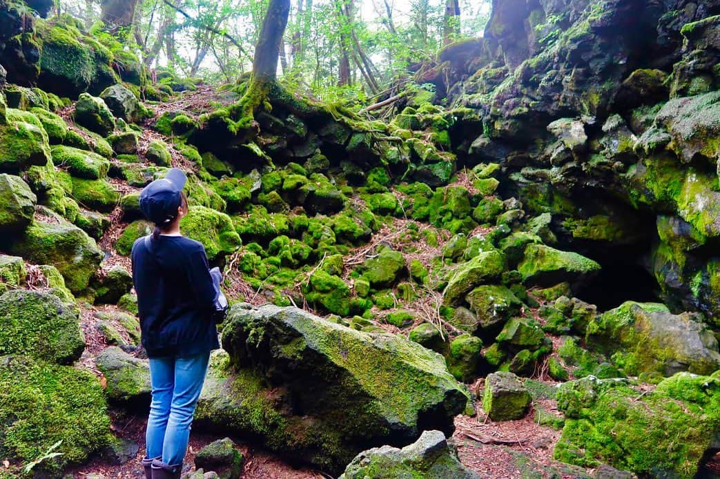 岡田栞奈のインスタグラム：「富士の樹海にも 行ってきました🌿 ・ ・ ・ 龍神が住んでいたとされる 竜宮洞穴は是非一度訪れてほしい場所。 上から覗くと霧がかかっていて下に広がる場所が特別のような、そんな感じがしました... 一段一段下がって霧をぬけるとそこは冷たい空間。 気温3度くらいだそう。 一瞬で違う場所へ連れていかれたような不思議な感覚。 感動しました。。。。✨ ・ ・ ・ 写真にも癒しの力が強い場所に現れる青色のオーブが 複数枚に写っていたり、 この場所には強いエネルギーが宿っているんだと思います。 星のや富士の「樹海ツアー」 是非体験して下さい‼️ #星のや富士 #富士の樹海 #ツアー #富士 #樹海 #青色のオーブ #癒しのエネルギー #竜宮洞穴」