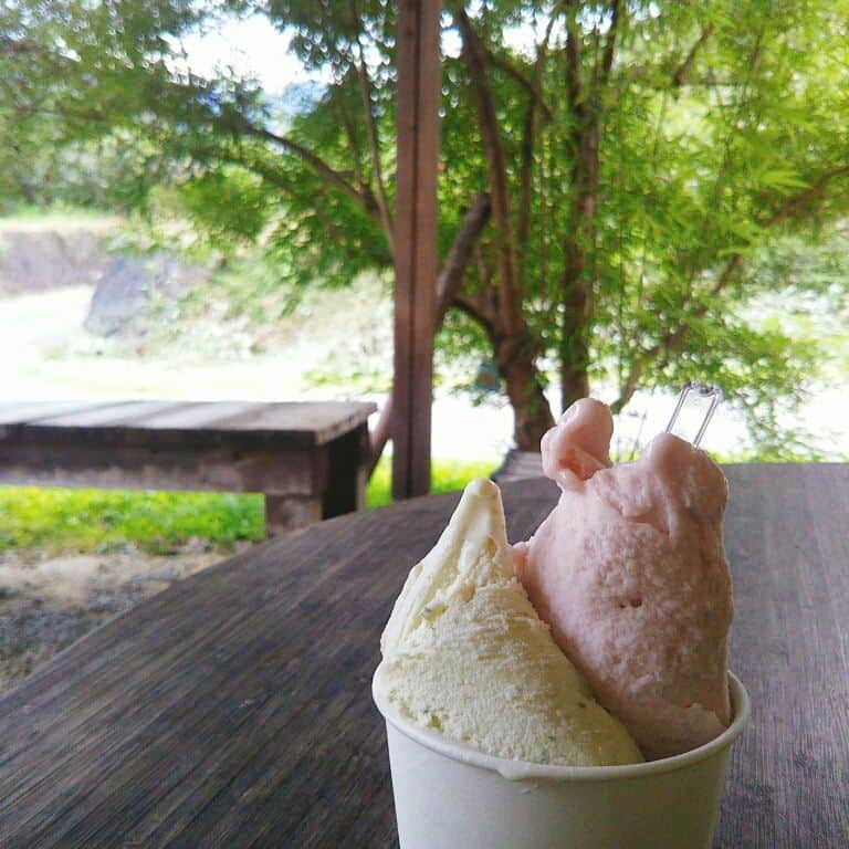 宮崎文子のグルメインスタ