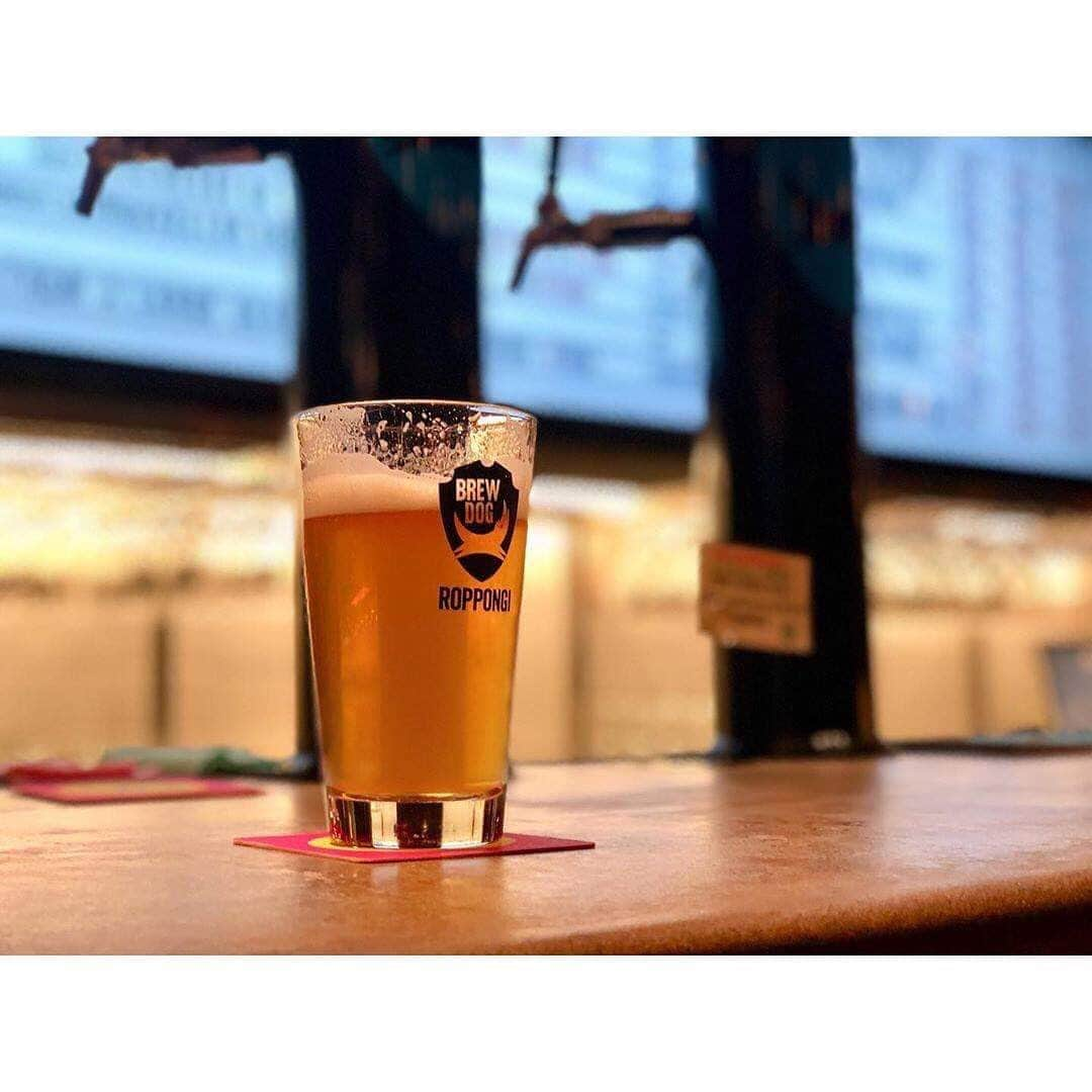 KitchHikeのインスタグラム：「六本木にある、 新進気鋭のスコットランド発ブルワリー直営店 「BrewDog Roppongi」から @taketa_masayuki さんの投稿をご紹介します✨ * 「BrewDog Roppongi」 ブリュードッグ 六本木 . スコットランド発のクラフトブリュワリー「BrewDog」のアジア初のオフィシャルバー . カウンターに並ぶBrewDogのタップが圧巻で、沢山の種類のBrewDogを飲むことができます！ . 「PUNK IPA」 フルーティー、オレンジなどのシトラスフレーバーの香り。 飲むとライトな喉越し、余韻にはドシっとした苦味。 タップは美味しく、色んな種類を飲みたくなります！ . 雰囲気もよく、大好きな場所です。 * @taketa_masayuki さんのおいしそうな写真は #ブリュードッグ六本木 のみなさんも喜んでくれそうですね😊 🍴グルメアプリのキッチハイク🍴 キッチハイクは、食べるのが好き！な人たちでお店に集まり、ごはんを楽しむサービスです。 プロフィールからダウンロードできます✨ いまキッチハイクを使うと初回利用料500円が無料です！  キッチハイクでお店に行ったら、おいしそうな写真と感想を #キッチハイク をつけて投稿してくださいね。キッチハイク公式アカウント（@kitchhike）でリグラムさせていただくことがあります😋  #おいしい#グルメ#食べ歩き#東京グルメ#食べるの大好き#美味しいお店#美味しい時間#グルメ巡り#インスタグルメ#おいしいもの#絶品#絶品グルメ#外食日記#グルメ好きな人と繋がりたい#食べるの好きな人と繋がりたい#kitchhike#キッチハイク」