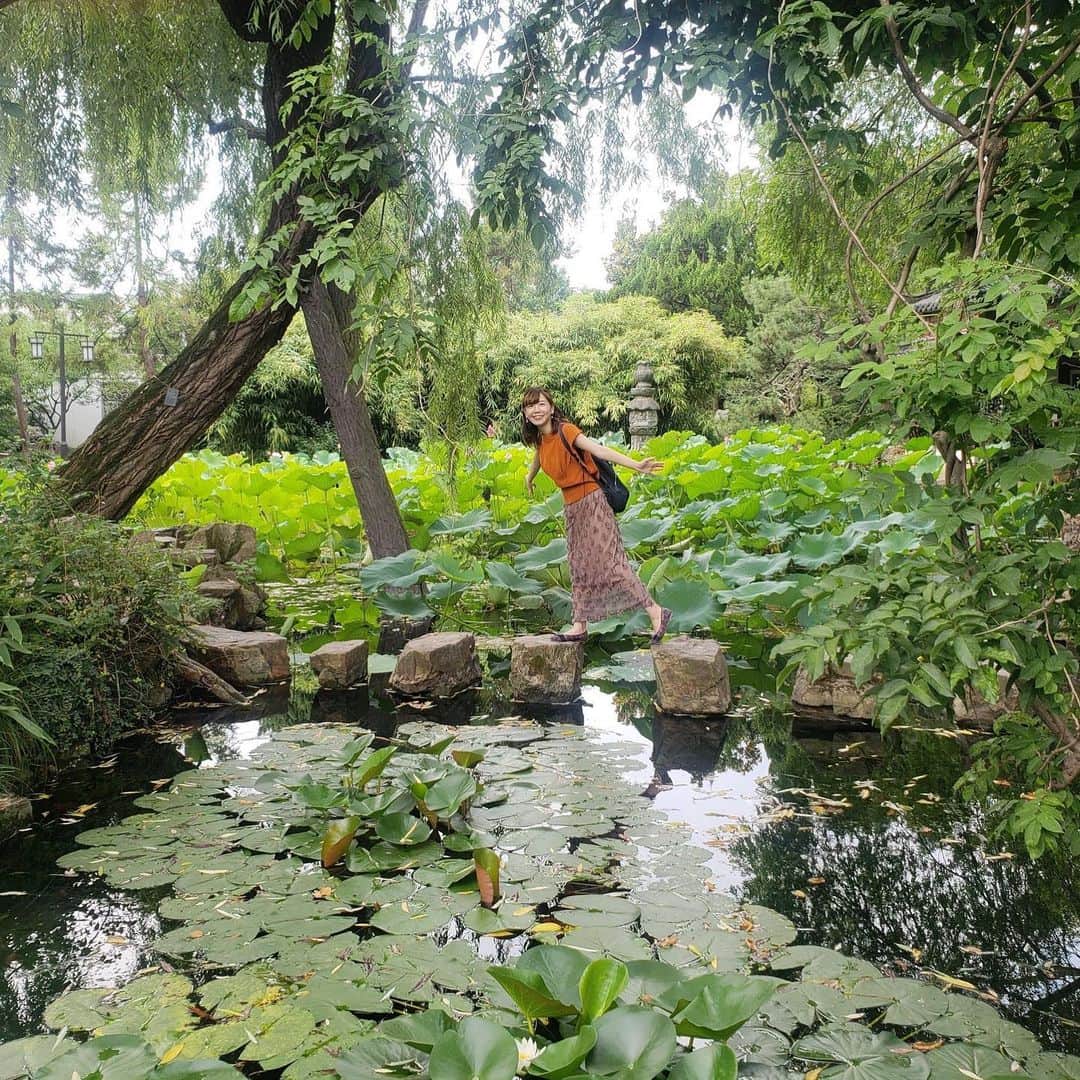 南海放送さんのインスタグラム写真 - (南海放送Instagram)「“フォトジェニック上海”  次回は上海の水の都といわれる“南翔” 水路がありレトロな街並みの散策や４５０年以上の歴史を持つ上海一古い庭園“古猗園”にも足を運びます！  また南翔は、あの上海名物の発祥の地なんですが・・ 16日（月）21:54〜  #上海 #南翔 #水の都 #星加奈緒　フォトジェニック上海」9月15日 22時52分 - nankaihoso_rnb