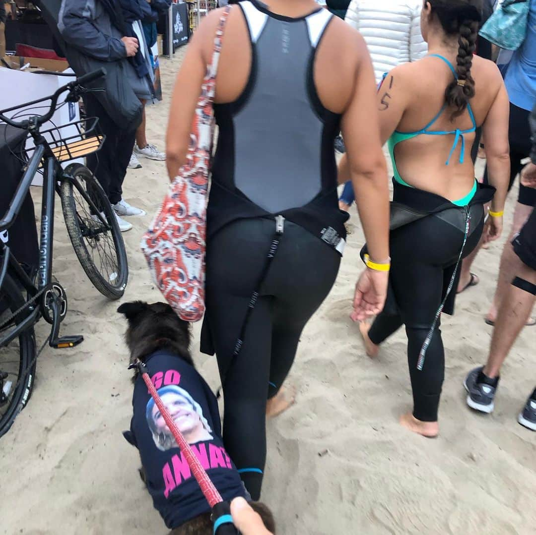 トニー・ゴールドウィンさんのインスタグラム写真 - (トニー・ゴールドウィンInstagram)「My mommy got 5th place at the Malibu Triathlon this morning. #Mika #proudpup #nauticamalibutri」9月16日 9時27分 - tonygoldwyn