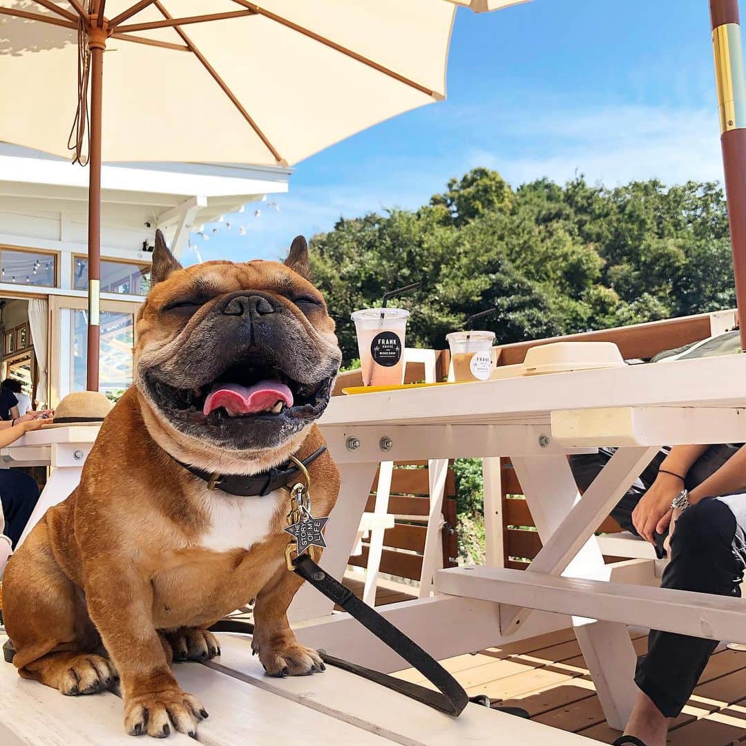 trs0609のグルメインスタ