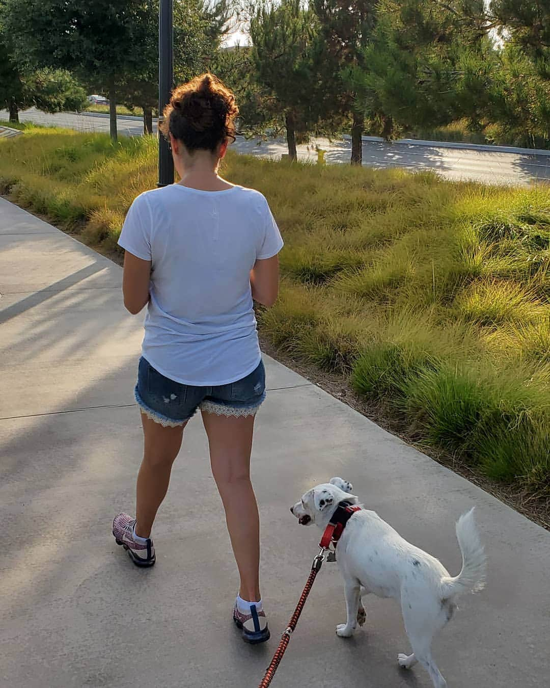 ミハル・ブジェジナのインスタグラム：「With my girls on a walk ;) #michalbrezina #plusfiveapparel #dogsofinstagram」