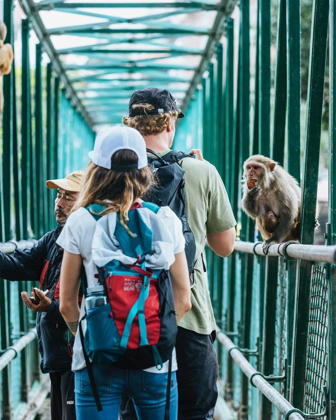 マウンテンハードウェアさんのインスタグラム写真 - (マウンテンハードウェアInstagram)「Making friends en route to Everest Base Camp. #mhweverest2019 📷: @jess_talley」9月16日 3時03分 - mountainhardwear