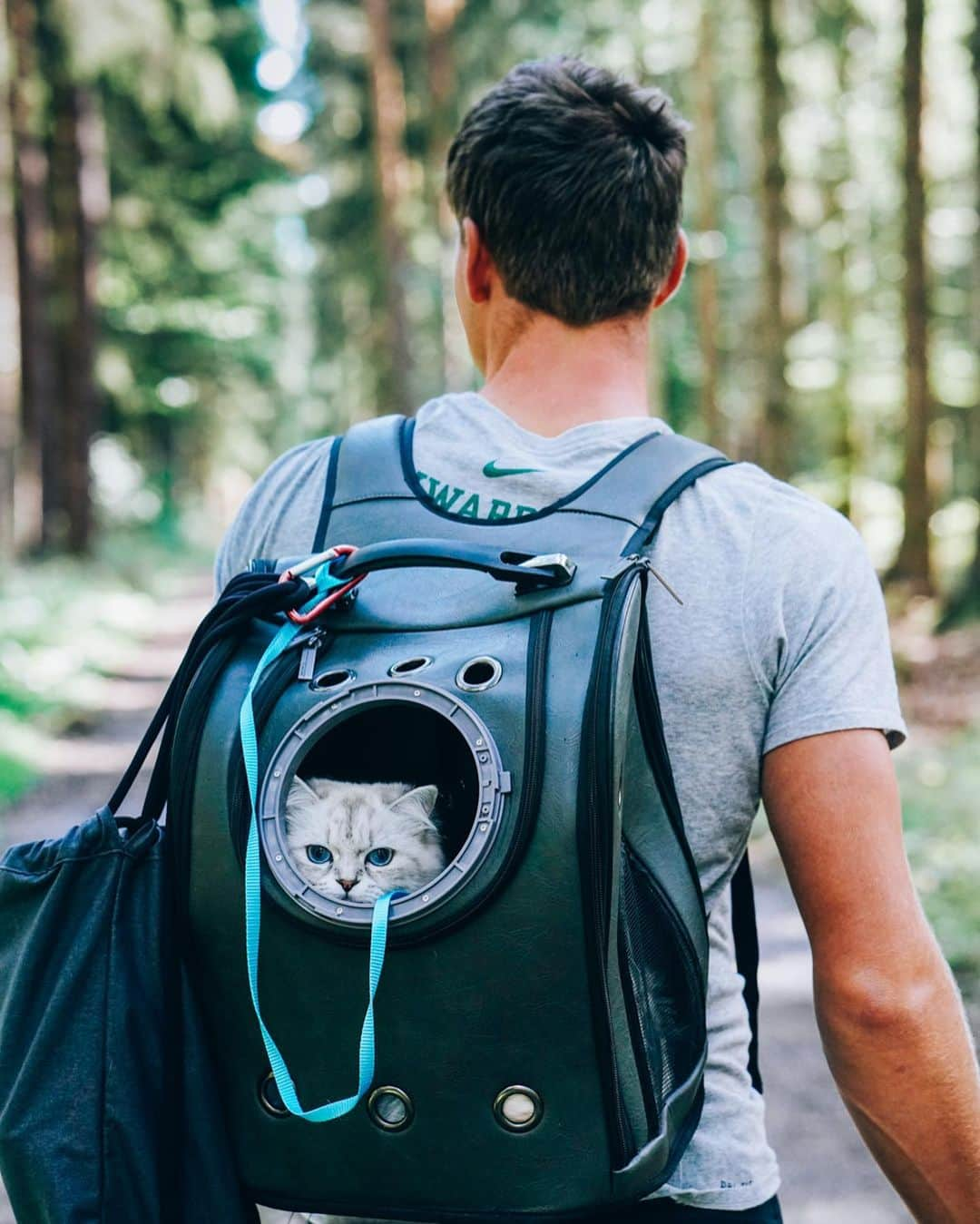 トーマス・レーラーさんのインスタグラム写真 - (トーマス・レーラーInstagram)「Weekends like these🌲😻 Yes, we hike with our cats, and they love it! Did you know @cinandsnow_the_cats are breeding cats? So stay tuned for some baby cat action soon! • • • • • #hiking #hike #catsofinstagram #cats #catstagram #instacat #outdoors #kitty #kitten #camping #hikingadventures #mountain #catlover #trekking #猫 #meow #catoftheday #ねこ #wilderness #backpacking #fitfam #oregon #prefontaine」9月16日 3時29分 - thomasroehler