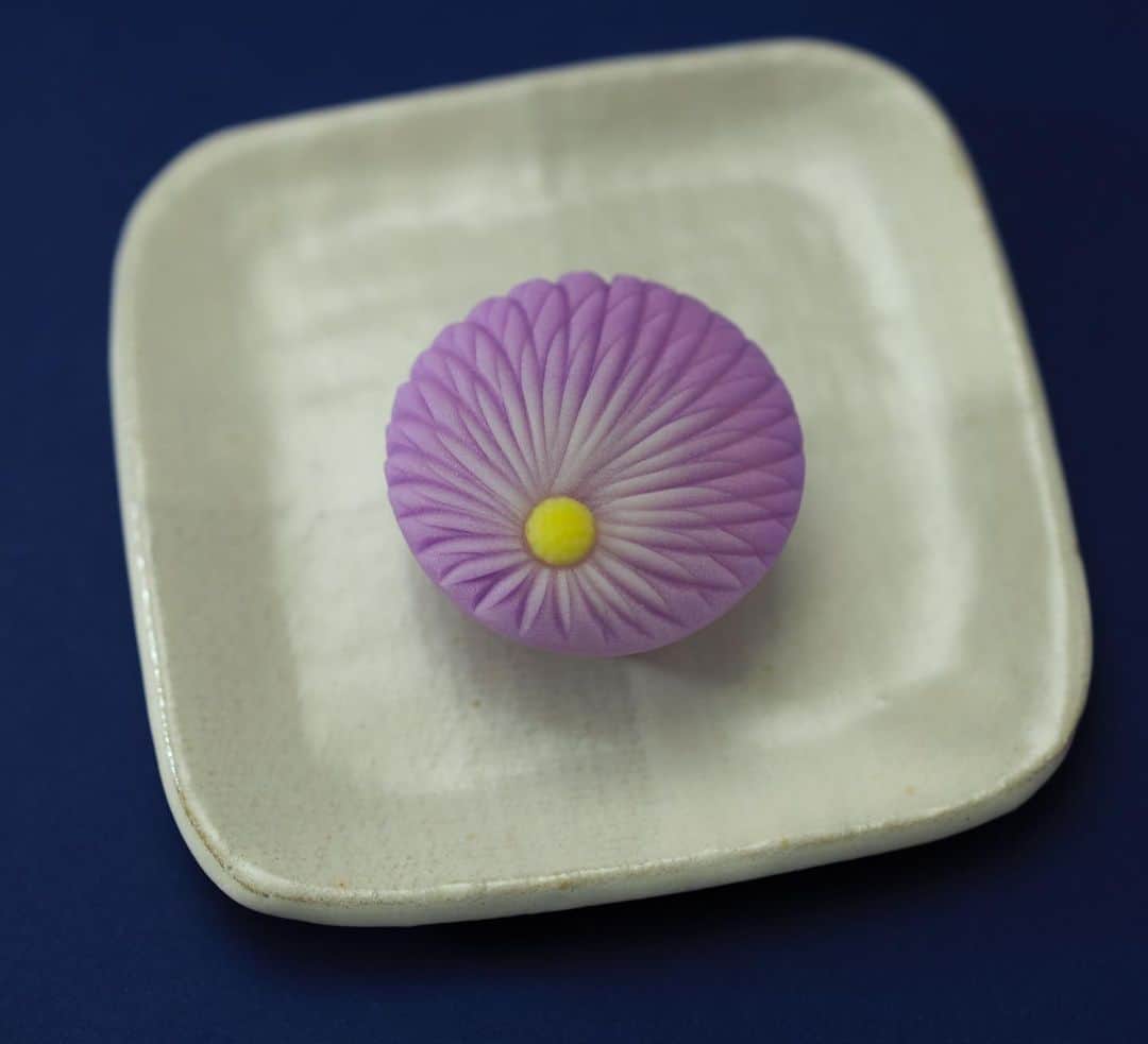 のインスタグラム：「今日の和菓子はねりきりで作った糸菊です。 ねりきりとは白餡に餅や芋を混ぜて作った和菓子で 茶道 で使われる「主菓子」の一種です。 撮影 用に作成しました。  フェイスブックページのいいね！もよろしくお願いします。 https://www.facebook.com/shishisu/ Today's wagashi is  chrysanthemum with Nerikiri. The Nerikiri is the material of wagashi made by mixing the rice cake and yam in white bean. Is a kind of "Jounamagashi" as used in the tea ceremony. The sweets I've made for the shooting.  #福泉堂  #和菓子  #楽しい #funny #my_eos_photo #出雲  #swag #カメラ好きな人と繋がりたい  #写真好きな人と繋がりたい　 #model #life #可愛い #Japan #wagashi  #جميل #кондитер #ファインダー越しの世界 #design #work #ig_color  #happy #Mignon  #igfood #lifestylenipponpic #photooftheday #เค้ก #sweets #торт #yummy」