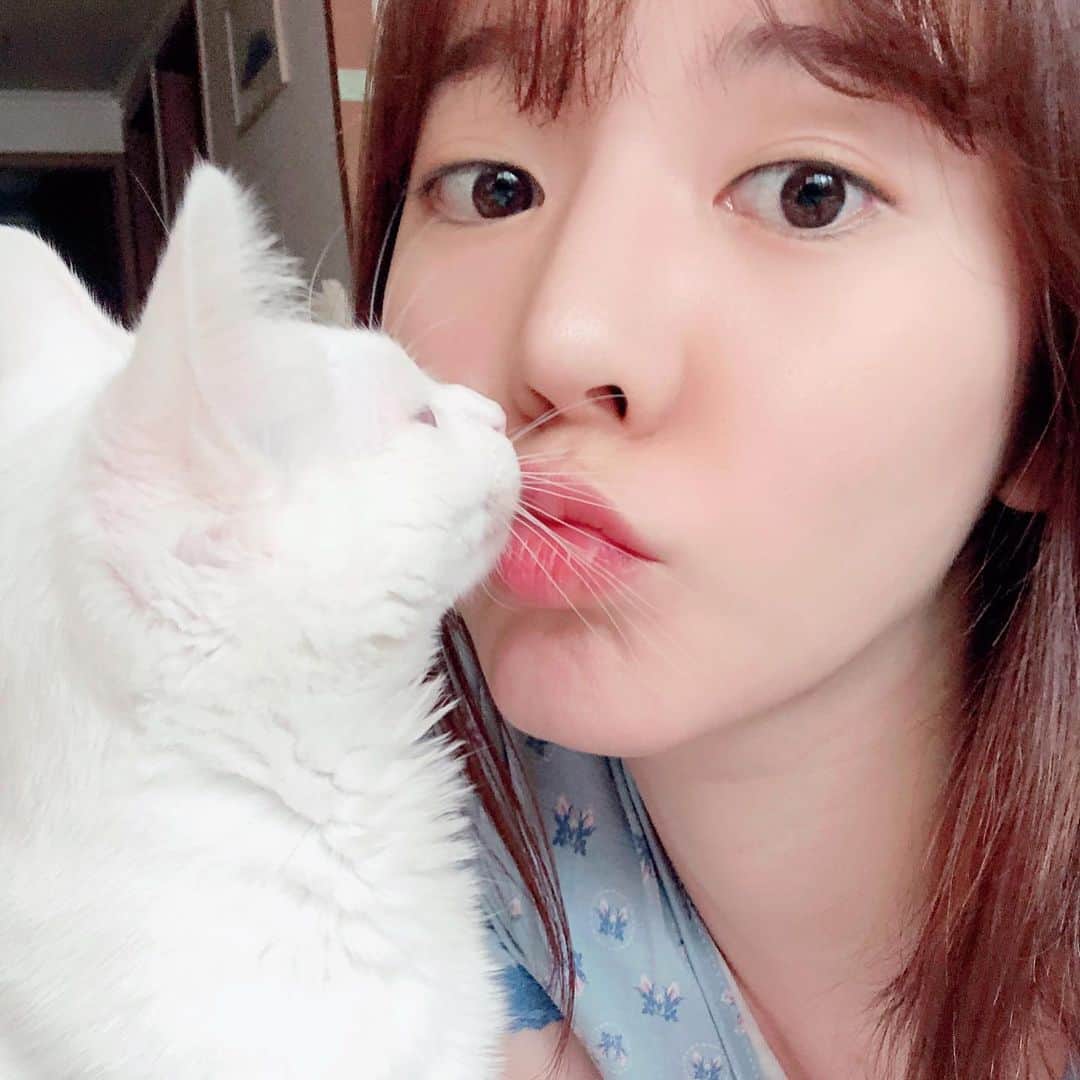 サニー のインスタグラム：「울 큰언니네 고양이 리나는 후추랑 남매인데..... 분명 같이 줍줍했는데....... 후추보다 훨~씬 어른스럽다;;;;; 아무래도 반려동물은 같이 사는 사람을 닮는다는 말이 진짜인가부당;;;;; #우리후추시키는찐캣린이 #리나공주는벌써숙녀느낌풀풀」