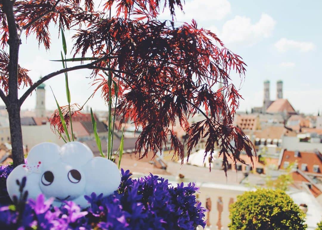 のインスタグラム：「【KUMO-chan World Tour】 KUMO ちゃんはドイツのミュンヘンにやってきました!中世からの景観を保ちつつ、現代的な都会の魅力も兼ね備えた、歴史と現代が共存する町、ミュンヘン。 旧市街の中心部にあるマンダリン オリエンタル ミュンヘン @mo_munich で、お部屋から 見える物語の世界のような美しい街並みと、ラグジュアリーな空間を満喫しました♪  KUMO-chan came to Munich, Germany, which has preserved the cityscape of Medieval Europe, combined with the charm of a modern city. At Mandarin Oriental, Munich @mo_munich , KUMO-chan enjoyed the beautiful view from the room and the luxurious guestroom. ______________ #mandarinorientaltokyo #MOtokyo #ImAfan #マンダリンオリエンタル東京 #マンダリンオリエンタル#MandarinOriental #KUMO #ラグジュアリーホテル #luxuryhotel #kawaii #かわいい #mandarinorientalmunich #マンダリンオリエンタルミュンヘン #MOmunich #munich #ミュンヘン #Germany #ドイツ #europe #ヨーロッパ #hoteleurope」