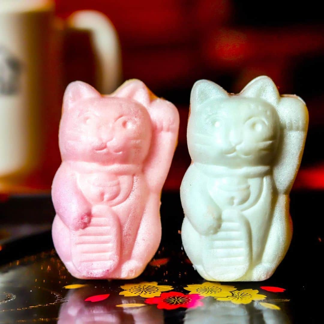 きょん。さんのインスタグラム写真 - (きょん。Instagram)「. .  うたねこ堂 @utanekodo  いかにも 縁起良さげな 紅白もなか。  どうなってもいいから 招かれたままに 招かれたい🐈  #うたねこ堂#猫カフェ #kyoto#sweets#catlover」9月16日 17時49分 - kyon_tokiiro