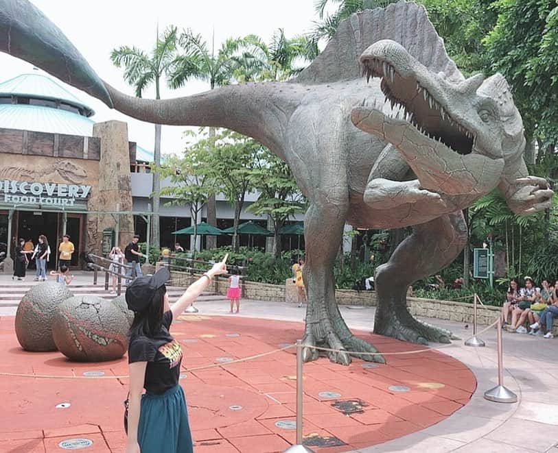 仙石みなみさんのインスタグラム写真 - (仙石みなみInstagram)「🦖 やっぱり好きなジュラシックパーク❤︎ . #ユニバーサルスタジオ #singapore #uss #jurassicpark #dinosaur #恐竜 #active #wonderful #enjoy」9月16日 18時04分 - sengoku_minami